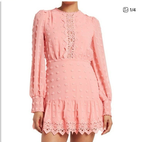 Love x Design Long Sleeve Mini Dress Swiss Dot Chiffon Lace Pink Size Small New - Picture 1 of 10